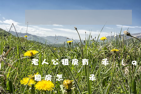 老人公租房有繼承權(quán)嗎(老人公租房怎樣繼承)
