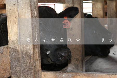 老人去世存款公證費多少(老人去世公證處公證費用)