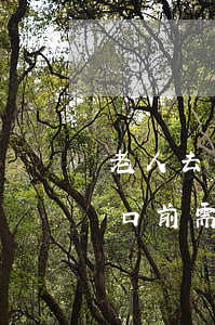 老人去世注銷戶口怎么注銷(老人去世注銷戶口前需要辦哪些事情)