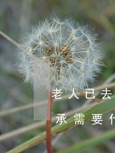 老人已去世繼承書怎么寫(老人去世了房子繼承需要什么手續(xù))