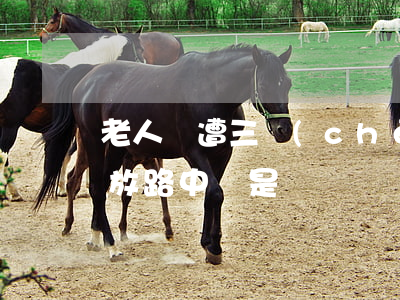 老人慘遭三車(chē)連撞,一人將老人橫放路中間是謀殺嗎