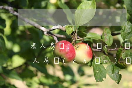 老人房產(chǎn)遺囑怎么寫才有效(老人房產(chǎn)遺囑怎么寫才有效囑咐)