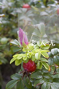 老人无力偿还怎么办