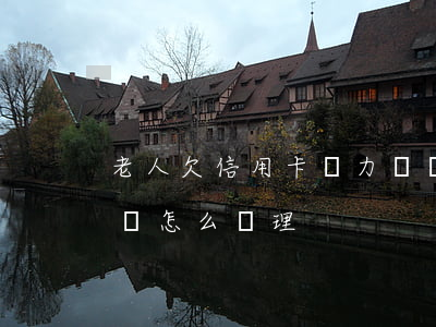 老人欠信用卡無力償還(老人欠信用卡無力償還怎么處理)