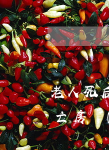 老人死后房產(chǎn)繼承分配(老人死亡房產(chǎn)有哪些人繼承)