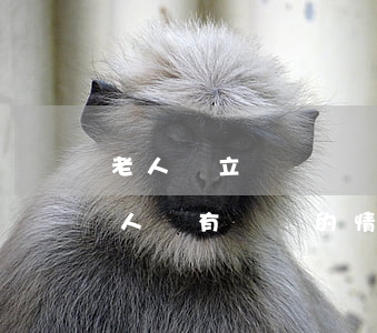 老人沒立遺囑遺產(chǎn)怎么分配(老人沒有遺囑的情況下財產(chǎn)如何分配)