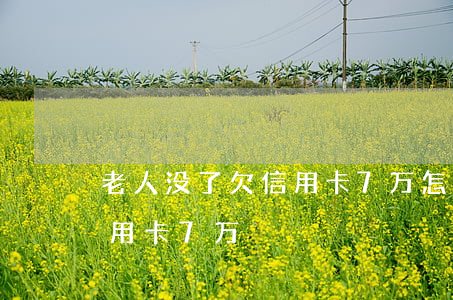 老人没了欠信用卡7万怎么还（老人没了欠信用卡7万）