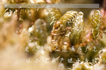 老人没有立遗嘱房产怎么继承(凭老人遗嘱可以办理房产继承手续吗)