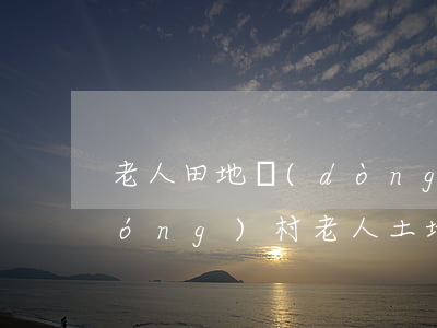 老人田地動(dòng)遷怎么繼承(農(nóng)村老人土地繼承問(wèn)題)