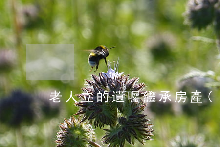 老人立的遺囑繼承房產(chǎn)