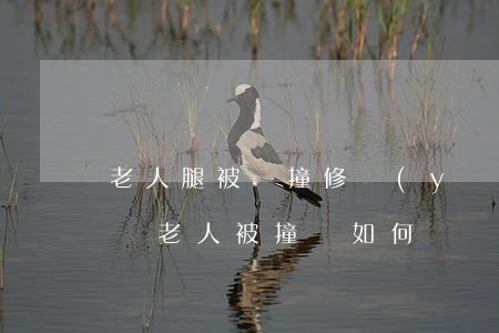 老人腿被車撞修養(yǎng)半年怎么賠償(老人被撞傷如何賠償)