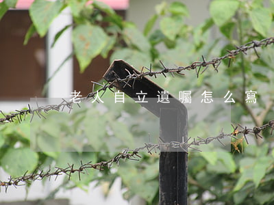 老人自立遺囑怎么寫