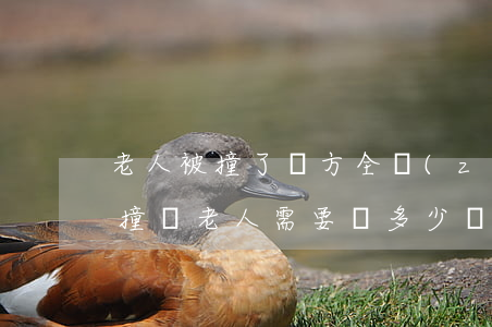 老人被撞了對方全責(zé)能獲得多少錢(撞傷老人需要賠多少錢)