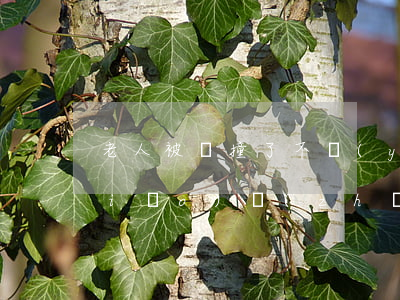 老人被車撞了不嚴(yán)重賠償標(biāo)準(zhǔn)保險(xiǎn)公司(老人被車撞保險(xiǎn)公司怎么賠)