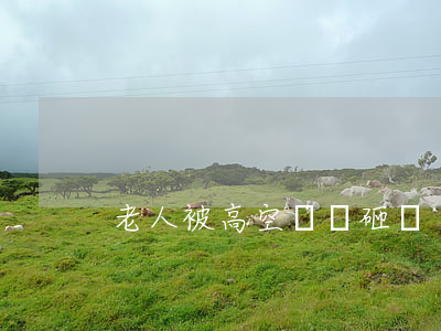 老人被高空墜貓砸暈