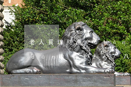 老人買理財產(chǎn)品虧損 銀行擔(dān)責(zé)八成被判賠16.5萬余元