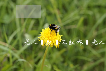 老人貸款還不起咋辦(老人貸款還不起咋辦呢)