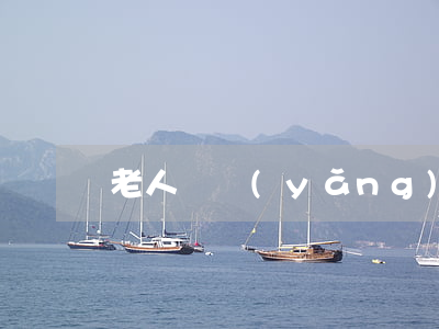 老人贍養(yǎng)協(xié)議書