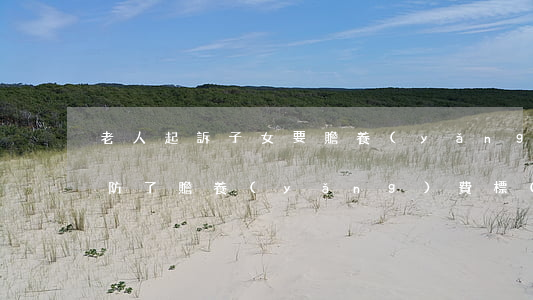 老人起訴子女要贍養(yǎng)費法官破防了 贍養(yǎng)費標(biāo)準(zhǔn)一般是多少錢一個月?