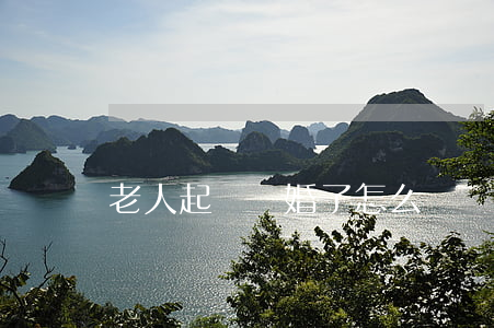 老人起訴離婚了怎么辦