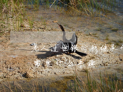 老人过世银行钱继承什么手续(死亡存款继承需要什么手续)