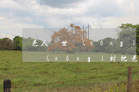 老人過世農(nóng)村老地基怎么繼承(農(nóng)村地老人去世后土地是繼承的嗎)