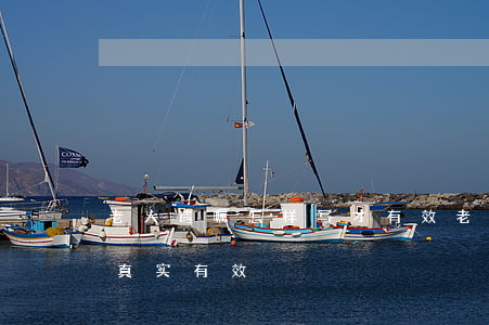 老人遗嘱怎样写才有效(老年人怎样写遗嘱才真实有效)