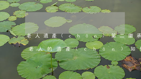 老人遺產(chǎn)第二繼承人怎么分配(老人的遺產(chǎn)如何分配)