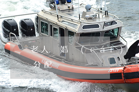 老人離婚財(cái)產(chǎn)怎么分配