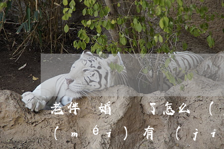 老伴離婚證丟了怎么過(guò)戶(離婚沒(méi)有結(jié)婚證丟了怎么辦)