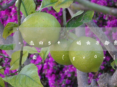 老公54離婚女方都需要什么賠償(離婚一定要賠錢(qián)給女方嗎)