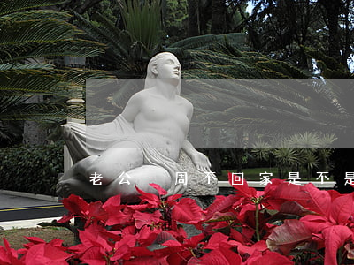 老公一周不回家是不是要离婚了