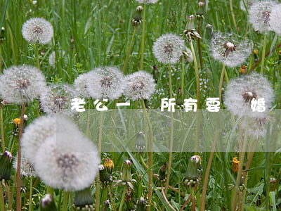 老公一無所有要離婚嗎(老公無能該不該離婚)