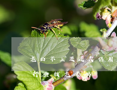 老公不上进还欠信用卡(老公还不上信用卡,银行会找老婆吗)