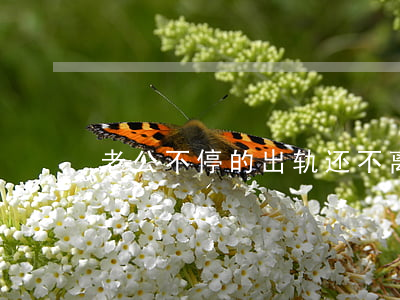 老公不停的出轨还不离婚怎么办
