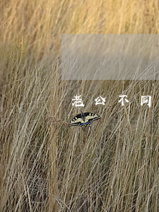 老公不同意离婚怎么让他同意