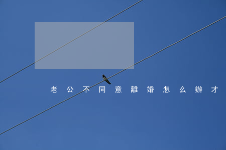 老公不同意離婚怎么辦才能離