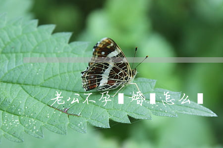 老公不孕離婚該怎么辦