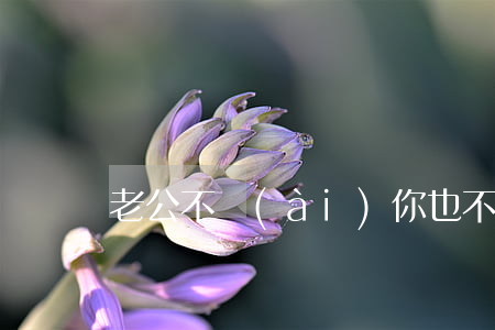 老公不愛(ài)你也不離婚該怎么辦