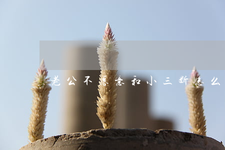 老公不愿意和小三断怎么办