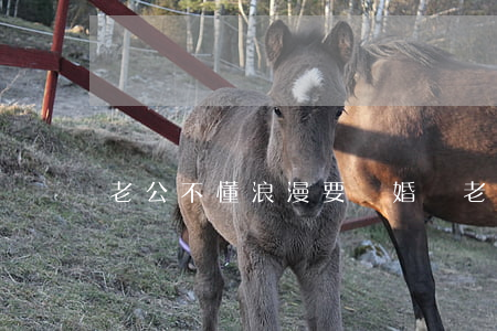 老公不懂浪漫要離婚嗎(老公不浪漫怎么辦)
