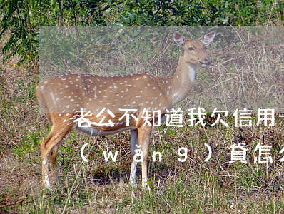 老公不知道我欠信用卡 老公不知道我欠了網(wǎng)貸怎么辦