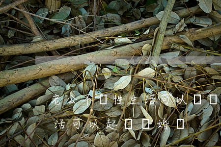 老公不給性生活可以訴訟離婚嗎(夫妻無性生活可以起訴離婚嗎)