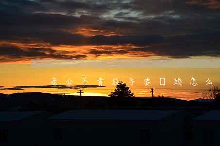 老公不肯放手要離婚怎么辦