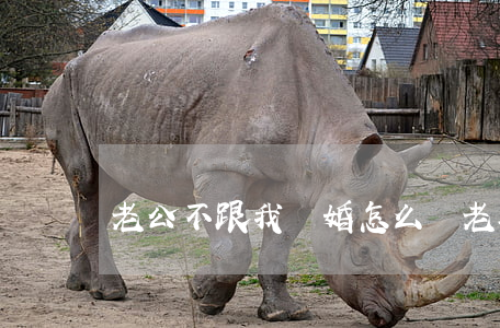 老公不跟我離婚怎么辦(老婆不跟我離婚怎么辦)