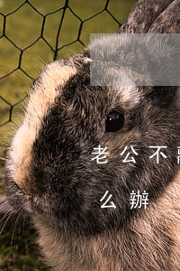 老公不離婚該不該離(我不想離婚老公要離怎么辦)