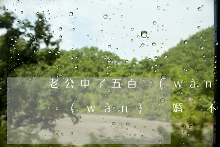 老公中了五百萬(wàn)要跟我離婚(五百萬(wàn)離婚,夠不夠)