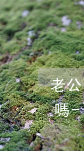 老公中信逾期我的中信卡會凍結(jié)嗎-老公中信逾期我的中信卡會凍結(jié)嗎怎么辦