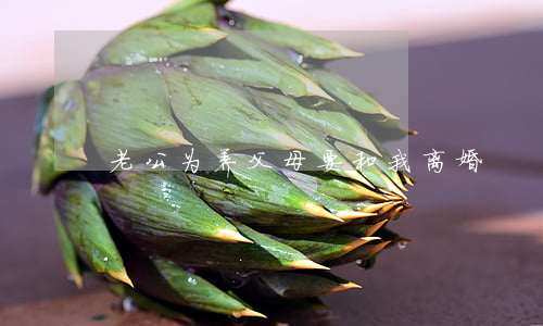 老公为养父母要和我离婚