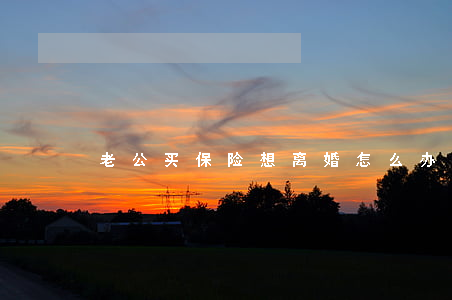 老公买保险想离婚怎么办